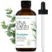 Eucalyptus Essential Oil 100% Pure and Natural Eucalyptus Oil Aroma for Diffusers Aromatherapy Hair and Scalp Care Skin Care Massage Oils Soap and Candle Making with Dropper 4 oz Eucalyptus 4 Fl Oz (Pack of 1)