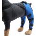 Dog Rear Hind Leg Joint Brace Pet Dog Double Hind Leg Brace Support Belt for Heals Prevents Injuries Sprains Protects Wounds. A Small - Buy Online on GoSupps.com
