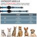 Jiarui Reflective AirTag Cat Neck Band Adjustable GPS Collar for Cats & Puppies | Blue 7-9 Inch - Buy Online on GoSupps.com