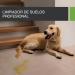 EcoFloor 1L Concentrate | Professional Enzyme Cleaner for Hard Floors | Effective Odor Remover & Pet Urine Solution | 1000 ml - Buy Online on GoSupps.com