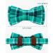 Tagme Turquoise Cat Collar with Personalized Name & Phone Number - Safe Kitten Neck Band with Bell | 1 Pack - Buy Online on GoSupps.com