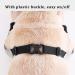 Dog Leg Brace Elbow Brace Protector Pads for Small Dogs and Cats Support Elbow Hygroma Shoulder Dysplasia Osteoarthritis and Shoulder Dislocation(M) Medium - Buy Online on GoSupps.com