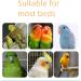 Buy Lohill Parrot Accessories - 4-Piece Bird Cage Toys and Perches for Parrots & Budgies - 15cm Ribbar Stood Bar - Buy Online on GoSupps.com