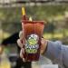 Sapo s Miches Chamoy Paste Sauce - Cucumber Lime Candy Dip 8 oz | Perfect for Drinks - Buy Online on GoSupps.com