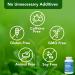Vital Plan Brain Boost Supplement by Dr. Bill Rawls | Brain Boosting Capsules with Lions Mane, Cats Claw, Bacopa, Sensoril Ashwagandha, & Ginkgo Biloba - Buy Online on GoSupps.com