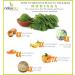 CROW Pack of 2 Tulsi Powder Moringa Powder (100 GM Each) Combo Pack 200 GM by B Naturall - Buy Online on GoSupps.com