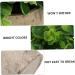 Zerodeko 6 Pcs Simulated Potted Plant Faux Greenery Fake Plant Decor Green Decor Mini Plants Mini Succulent Plants Upholstery Trim Simulation Green Plant Plastic Eucalyptus Green Plants As Shownx6pcs 22x8cmx6pcs - Buy Online on GoSupps.com