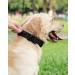 Joyal Tactical Dog Collar - Heavy-Duty Handle for Medium Dogs | QR Code Dog Brand | Black M Size - Buy Online on GoSupps.com