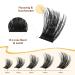 QUEWEL Mixed Length Eyelash Clusters - Natural Look & Reusable DIY Extensions (T-FD03) for Home Use - Buy Online on GoSupps.com