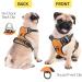 Heele Dog Crockery & No-Pull Harness - Soft Breathable Reflective Design for Medium Dogs - XS Uni-Orange - Buy Online on GoSupps.com