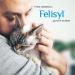 Felisyl L-Lysine Concentrate for Cats 2 oz Immune & Respiratory Support Supplement with DMG & Taurine Helps Relieve Sneezing Runny Nose Congestion Watery Eyes FHV-1 Symptoms Made in USA - Buy Online on GoSupps.com