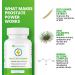 Ben's Natural Health Prostate Power Supplement - 60 Capsules with Rye Grass Pollen & Saw Palmetto for Men - Buy Online on GoSupps.com