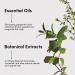 LATHER Mint Thyme Hair Wash - Natural Shampoo with Peppermint Oil, Green Tea, Mint & Thyme - 8 Oz Bottle | Self Care Essential Oils - Buy Online on GoSupps.com