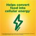 Nature Made B-Complex with Vitamin C - 100 Caplets for Energy & Immune Support - Buy Online on GoSupps.com