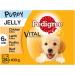 Pedigree Junior Wet Dog Food for Young Dogs and Puppies 2-12 Months Mixed Selection in Jelly 48 Pouches (48 x 100 g) Mixed Selection in Jelly 2.4 kg (Pack of 2) - Buy Online on GoSupps.com
