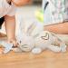 Shop Soft Toy Pacifier Holder - Cute Rabbit Plush for Babies | Skin-Friendly & Convenient | Perfect for 0+ Months - Buy Online on GoSupps.com