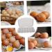 Alipis 3pcs Egg Storage Box Small Refrigerator for Room Display Egg Organizer Decorate Portable re-usable - Buy Online on GoSupps.com