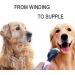 Buy Dog & Cat Double-Sided Fur Comb - Detangling & De-Matting Tool | Small Pink Stripper for Effective Animal Care - Buy Online on GoSupps.com