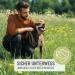 Reavet Tick Protection Dog Spray 500ml | Black Cumin Oil | Instant Tick Defense for Puppies - Buy Online on GoSupps.com