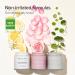 Mary&May Vegan Rose Hyaluronic Hydra Wash Off Mask 125g - Clean Pores, Sebum Control, Longer Hydration | Korean Clay Mask with Hyaluronic & Rose Petals - Marynmay - Buy Online on GoSupps.com