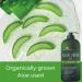Organic Aloe Vera Gel 16.9 fl oz - Natural Moisturizer for Face, Body, Hair - Sunburn, Acne, Razor Bumps Relief - Tea Tree, Superfood, Hyaluronic Acid Infusion - Buy Online on GoSupps.com