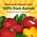 Nature's Way Alive! Fruit Source Vitamin C - 120 Vegetarian Capsules for Immune Support - Buy Online on GoSupps.com