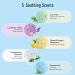 Shower Steamers Aromatherapy Bath Bombs 12-Pack with Essential Oils - Stress Relief and Mother's Day Gift Set for Women - Buy Online on GoSupps.com
