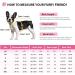Cit toile Dog Life Jacket - Safe & Light Water Sports Vest for Small/Medium/Large Dogs - Pink with Handle & Reflective Features - Buy Online on GoSupps.com