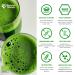 Buy Matcia Therapy 130+ Bio Matcha Tea Powder 60g - High EGCG Content Supports Immunity & Energy - Premium Japanese Green Tea - Buy Online on GoSupps.com