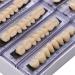 Angzhili Dental Synthetic Acrylic Resin False Teeth Halloween Horror Denture Set A3 (168pcs) - Buy Online on GoSupps.com
