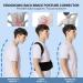 Back Brace Posture Corrector for Men & Women | Lumbar Support for Pain Relief | Scoliosis & Hunchback Aid | Improve Posture (Large - Buy Online on GoSupps.com
