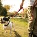 Vivaglory Traffic Handle Dog Leash - Reflective Padded Metal Hook 1.5m Red - Ideal for Training & Control - Buy Online on GoSupps.com