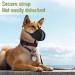 Ilepark Soft Dog Muzzle - Comfortable Breathable Adjustable Fit for Small to Large Breeds (S Black) | Ideal for Safe Outdoor Use - Buy Online on GoSupps.com