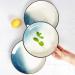 Dinner Plates Ceramic Dinnerware Set 10 Piece Round Plates Simple and Elegant Dinner Plates Set Service for 2 Plates Kitchenware - Buy Online on GoSupps.com