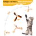 Pawaboo Interactive Cat Toys - 35 Catangel Stable with 2 Springs & Flexible Steel Wire Handle - Magic Wand for Kittens & Cats - Orange - Buy Online on GoSupps.com