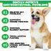 Probiotics for Dogs Pre & Probiotic Digestive Treats for Dogs Support Gut Health Digestive and Immunity Boost Heatlth & Energy for All Ages and Breeds 120 Chews Duck Flavor - Buy Online on GoSupps.com