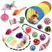 Wefine 20 Pcs Cat Toys for Indoor Kitten Collapsible Cat Tunnel for Indoor Cat Interactive Cat Feather Wand Ball Spring Mice Toy for Cat Puppy Kitty Kitten 20pcs Rainbow