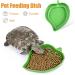 2Pcs Tortoise Water Bowls Reptile Feeding Dish Leaf Shape Reptile Food Water Bowl Feeding and Water Dish Reptile Accessories Tortoise Water Dish Tortoise Cage Accessories - Buy Online on GoSupps.com