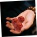 Sewoart Decorative Hand Massage Balls - Wooden Tension Relief Handballs for Relaxation - 1 Pair - Buy Online on GoSupps.com