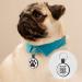 Whoseid QR Code Cat Collar - Modifiable Silicone Pet ID with Emergency Contacts for Medium to Large Breeds - Black Rose Blue - Buy Online on GoSupps.com