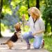 Gun Dog Whistles for Recall Dog Training Long Distance with Lanyard Loud and Far Reaching Ultrasonic Copper Core ABS Material for Stop Barking Silent Recall Bark Control Behaviour Aids Most Breeds - Buy Online on GoSupps.com