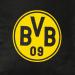 Shop Borussia Dortmund Unisex Adult Door Windbreak - Multicoloured One Size | International Shipping Available - Buy Online on GoSupps.com
