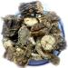 Theglobalstore Giloy Ayurvedic Herbs Guduchi Giloi Natural Immunity Tinospora Cordifolia 900 Gram Pack - Buy Online on GoSupps.com