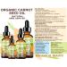 Organic Carrot Oil 100% Natural Cold Pressed Carrier Oil 1 Fl. oz. - Botanical Beauty for Face Body Hair & Nail Care - Buy Online on GoSupps.com