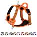Eyin dog harness for medium-sized dogs adjustable breathable reflective padded and breathable breast dishes with handle and front bracket for daily training (orange m) m (neck: 37-50cm breast: 40-68cm) Orange