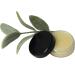 Pinon Pine Salve Sap Set by Jenny Joy's Soap - Natural Resin from the Southwest for Lip Balm, Dry Skin Irritation - 5ml (Set of 2) - Buy Online on GoSupps.com