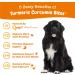 Zesty Paws Turmeric Curcumin Bites for Dogs - Bacon Flavor Soft Chews for Everyday Vitality (90 Counts) - Buy Online on GoSupps.com