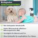 Coverax Bio Smell Remover - Enzyme Cleaner & Odor Neutralizer for Cat & Dog Urine Tough Smells | 500ml Spray for Couch Carpet & Car - Buy Online on GoSupps.com