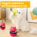 Interactive 3-in-1 Cat Toys | Red Cat Food Dispenser & Spring Toy for Slow Feeding & Training - Buy Online on GoSupps.com