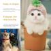 Cat Wand 6Pcs Cat Toys Interactive Cat Toys for Indoor Cats Adult Kitten Include Replacement Feathers 3Pcs Cat Wand Toy Set Retractable Interactive Cat Wand Rod Colourful Refills - Buy Online on GoSupps.com